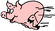 Ferkel-Flitzer